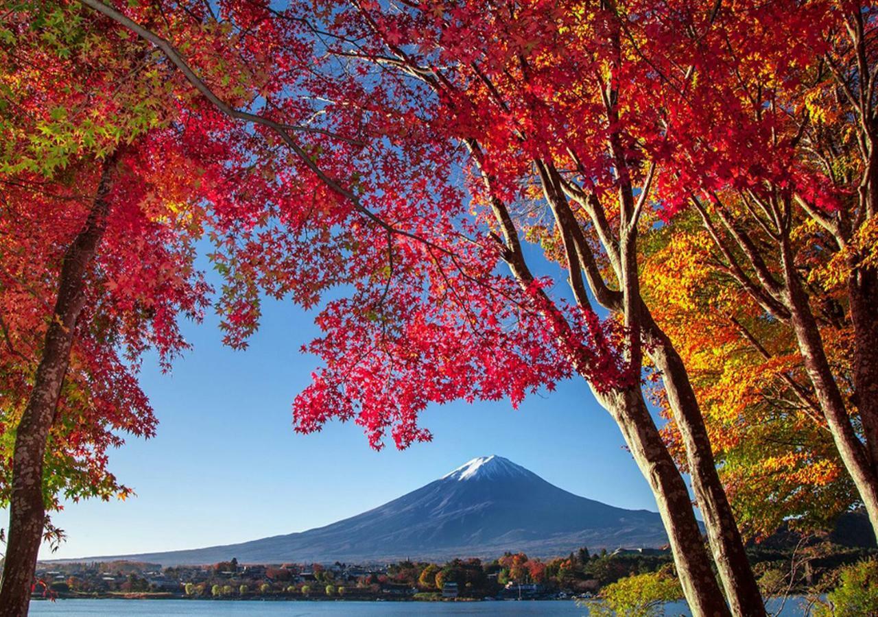 Villa 富士山金魚 Fujisan Kingyo Fujikawaguchiko Esterno foto